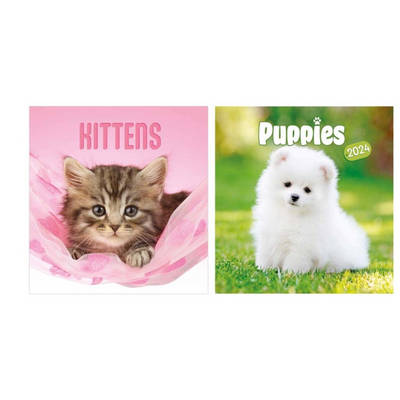 CALENDAR KITTENS  PUPPIES mulveys.ie nationwide shipping