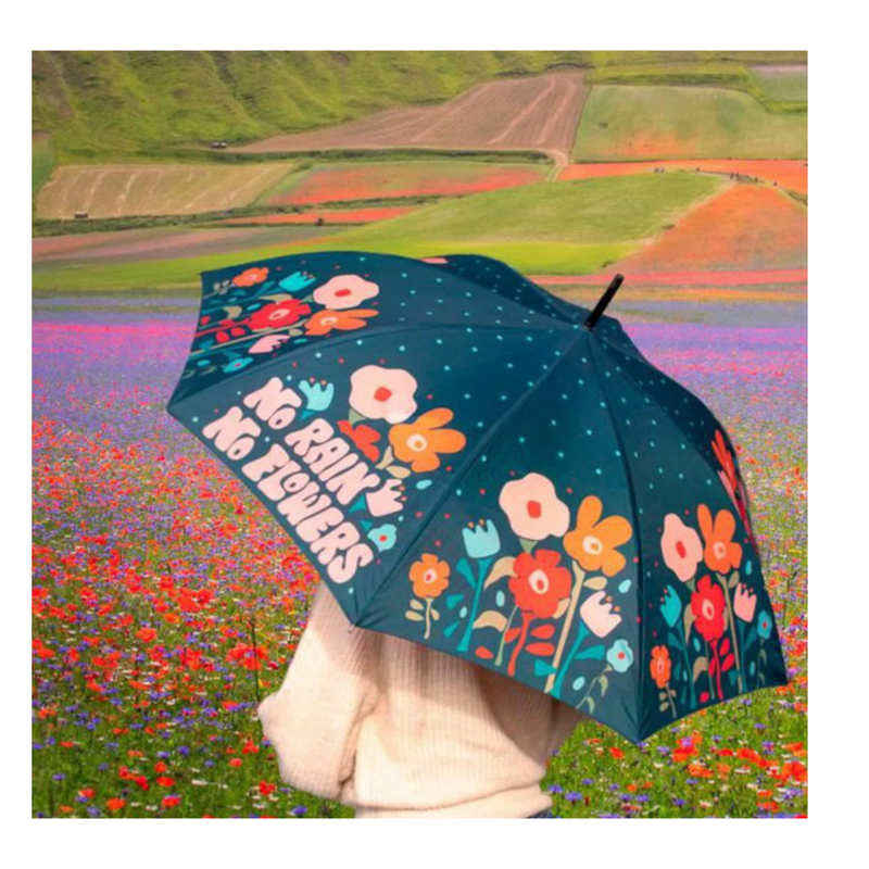 Fisura - Umbrella No Rain No Flowers