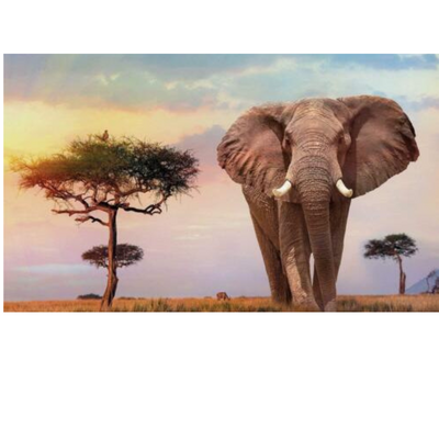Puzzle 500 Elementów African Sunset Clementoni mulveys.ie nationwide shipping