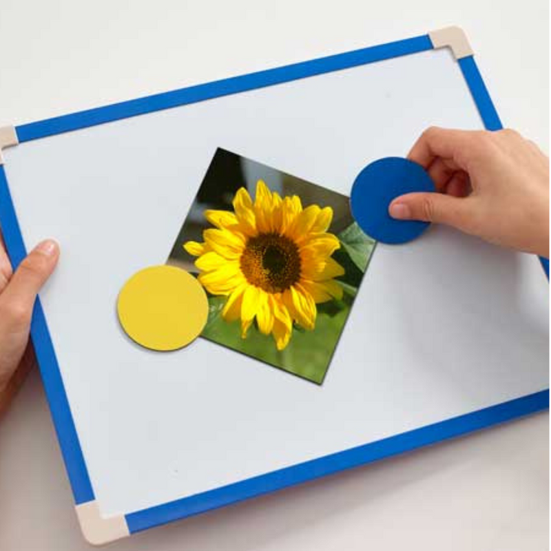 Magnetic Board PLUS mulveys.ie nationwide shipping
