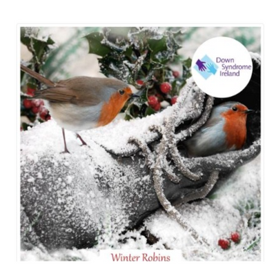 Down Syndrome Ireland Charity Christmas Cards - Winer Robins mulveys.ie nationwide shipping