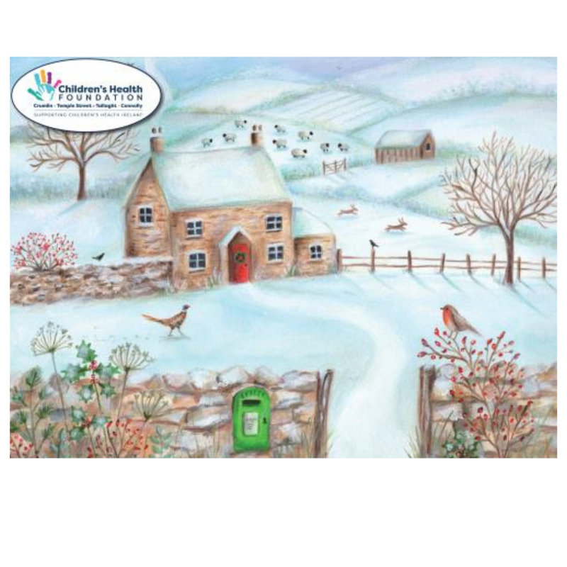 Childrens Heart Foundation Charity Christmas Cards Winter House mnulveys.ie nationwide shipping
