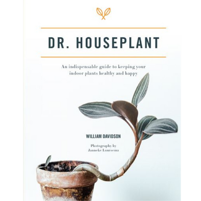 Dr Houseplant mulveys.ie nationwide shipping