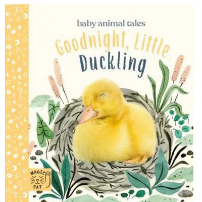 Goodnight little Duckling by AJ Wood mulveys.ie nationwide shipping