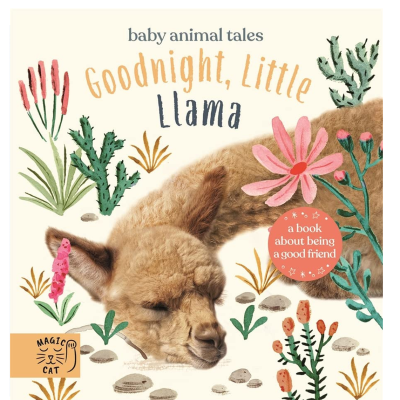 Goodnight, Little Llama: A book about being a good friend (Baby Animal Tales) mulveys.ie nationwide shipping