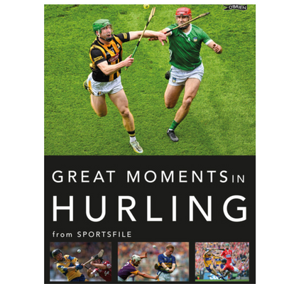 Sportsfile Great moment in Hurling mulveys.ie nationwide shipping