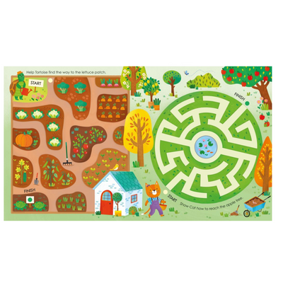 Fingertrail Mazes Felicity Brooks  Illustrated by Elisa Ferro