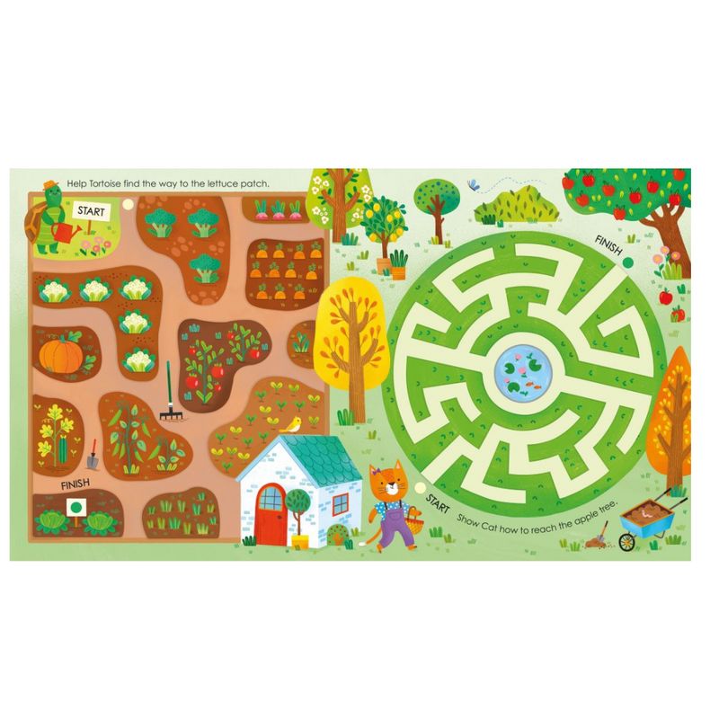 Fingertrail Mazes Felicity Brooks  Illustrated by Elisa Ferro