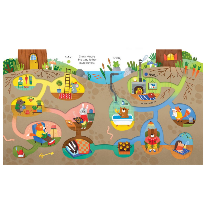 Fingertrail Mazes Felicity Brooks  Illustrated by Elisa Ferro