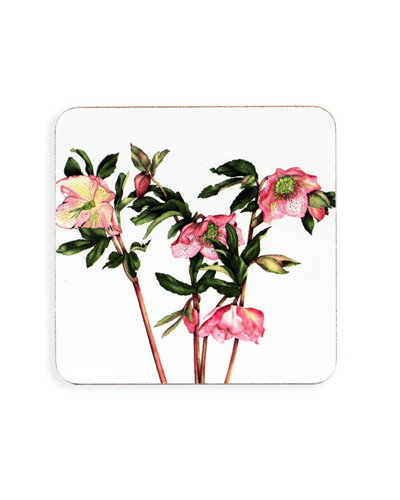 TIPPERARY CRYSTAL Botanical Studio - S/6 Coasters mulveys.ie nationwide shipping