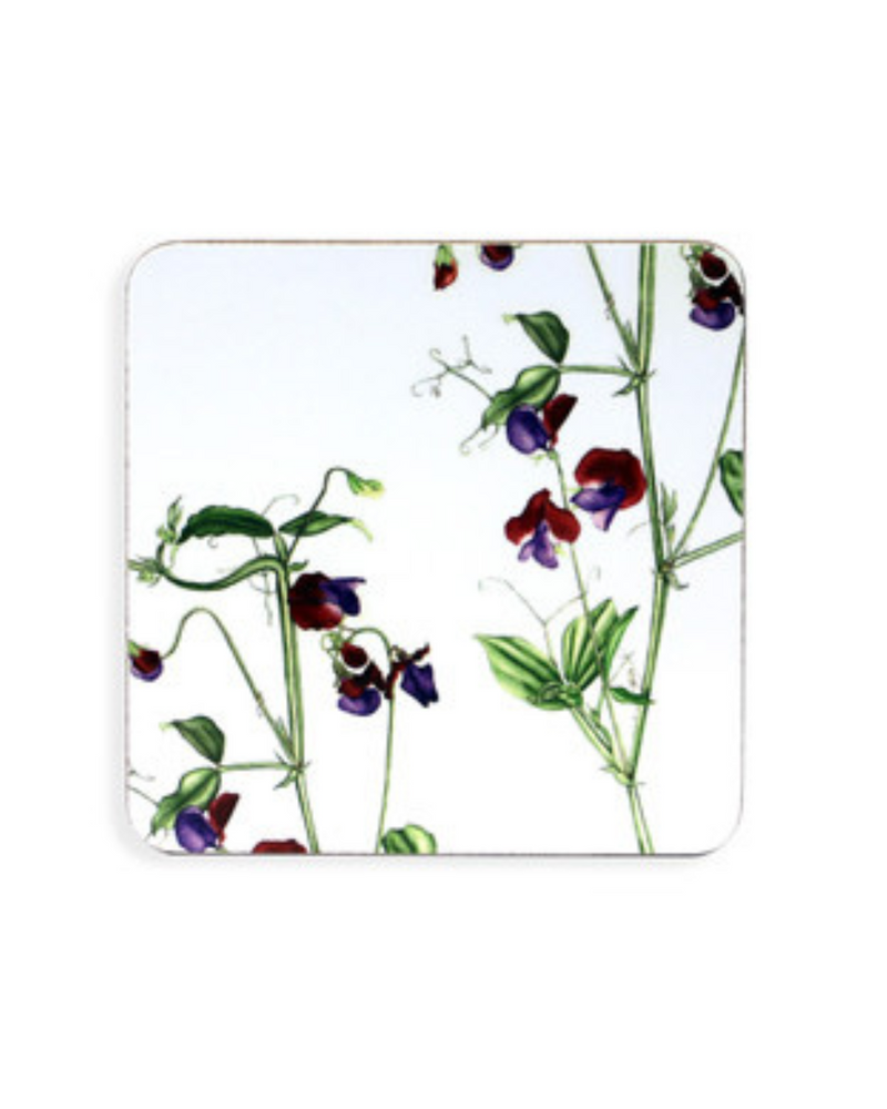 TIPPERARY CRYSTAL Botanical Studio - S/6 Coasters mulveys.ie nationwide shipping
