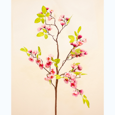 Enchante Cherry Blossom  80CM mulveys.ie nationwide shipping