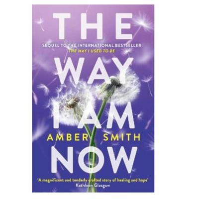 The Way I Am Now by Amber Smith mulveys.ie nationwide shipping