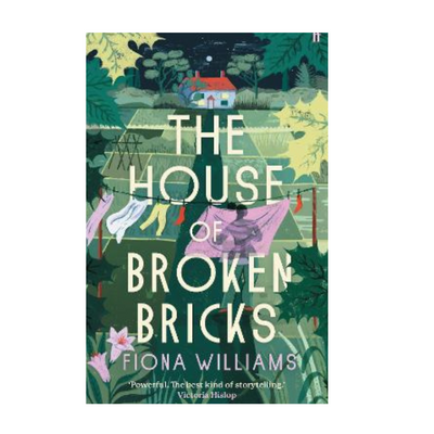 The House of Broken Bricks by Fiona Williams mulveys.ie nationwide shipping
