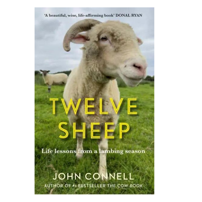Twelve Sheep by John Connell mulveys.ie nationwide shipping