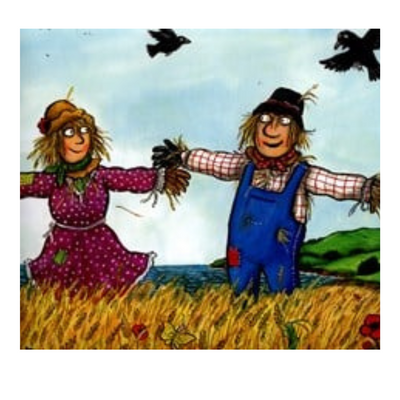 THE SCARECROWS' WEDDING by Julia Donaldson mulveys.ie nationwide shipping