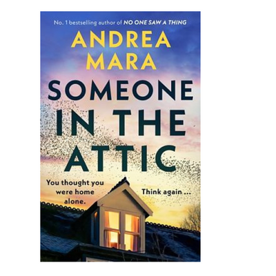 Someone in the Attic by Andrea Mara mulveys.ie  nationwide shipping