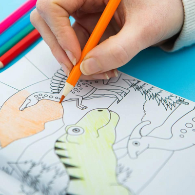 Dinosaur Fun Kit