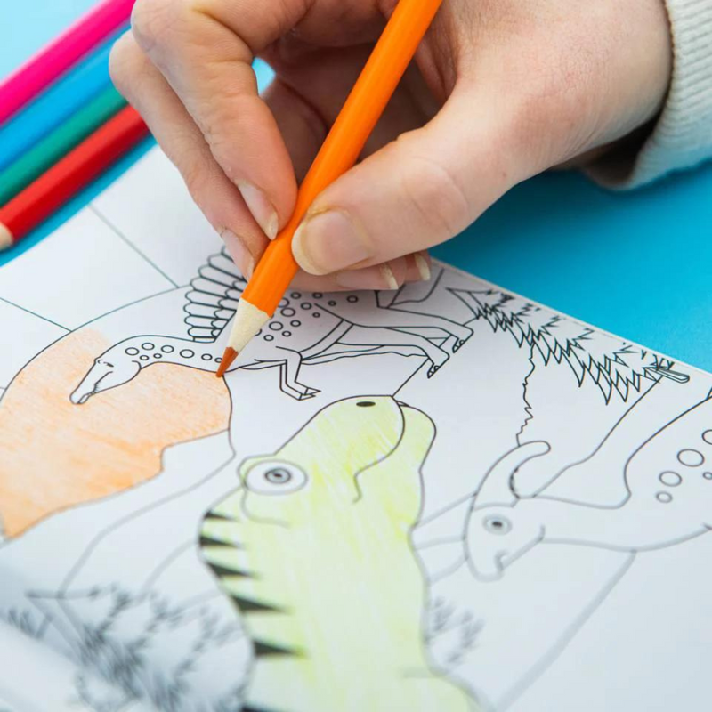 Dinosaur Fun Kit