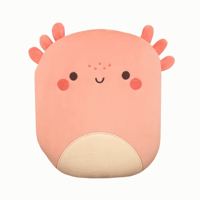 Squish and Snugg Groovy Axolotl