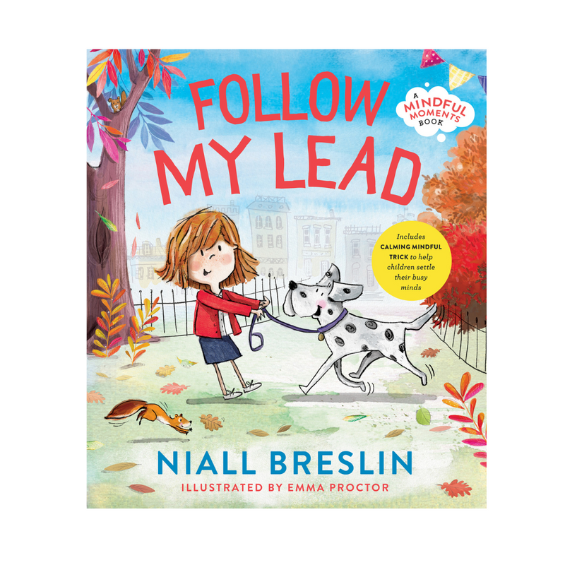 Follow My Lead by Niall Breslin mulveys.ie nationwide shipping