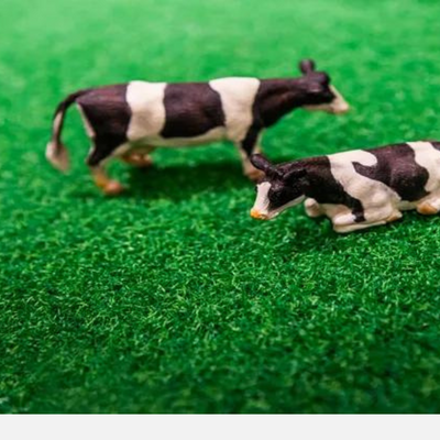 Kids Globe Artificial Grass