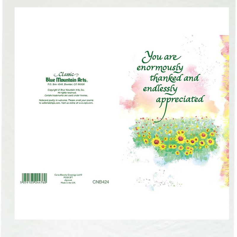 You Are Thanked Endlessly Appreciated Sentimental Verses Keepsake Greeting Card