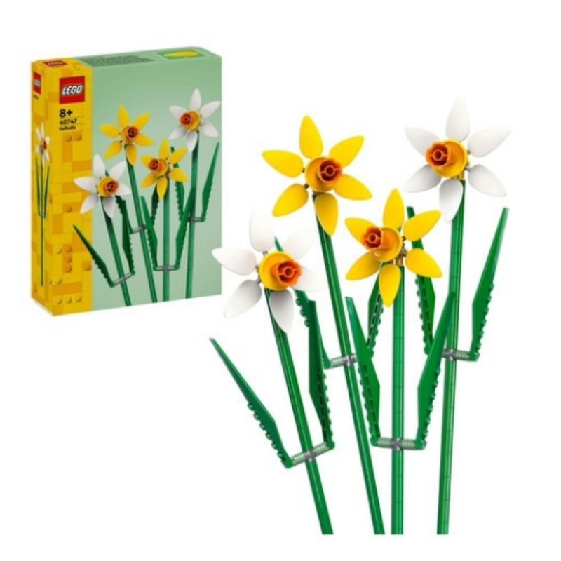 40747 Daffodils