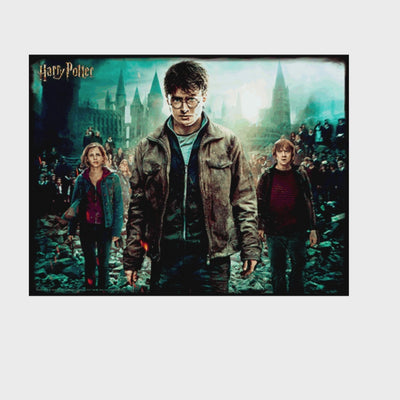  Harry Potter Harry Hermione and Ron Prime 3D puzzle 500pcs MULVEYS.IE NATIONWIDE SHIPPING