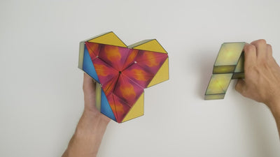 Shashibo Puzzle Elements