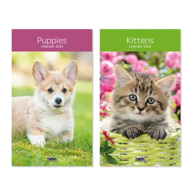 Calendar Midi : Kittens and Puppies