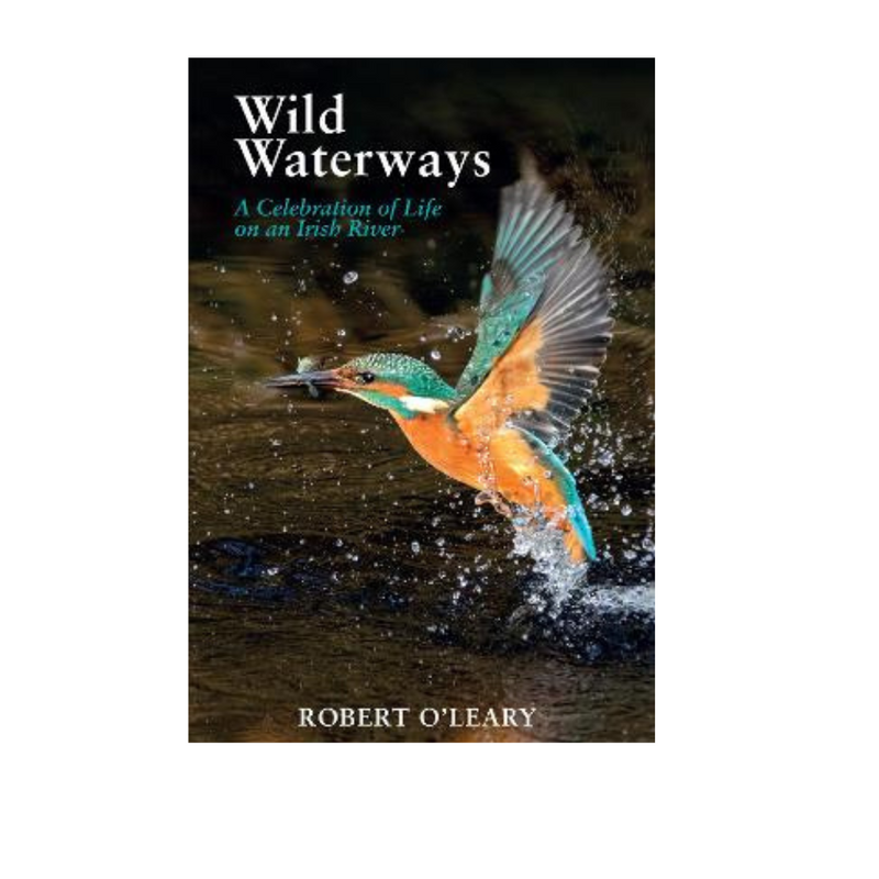 wild waterways. Mulveys.ie