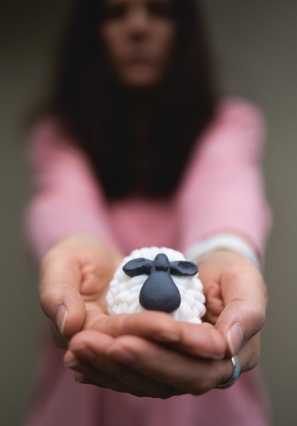 Pure Oskar- The Curragh Sheep Soap