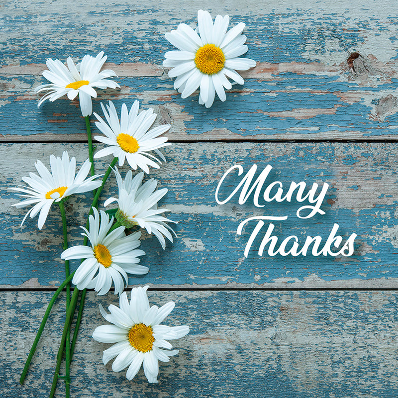Many thanks Card by Anon