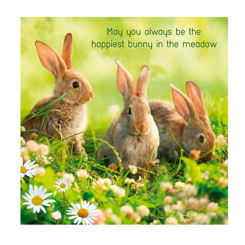 May you always be Happy Card by Anon