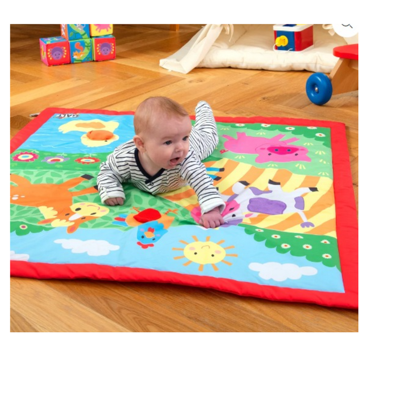 Large Playmat - Farm mulveys.ie nationwide shipping