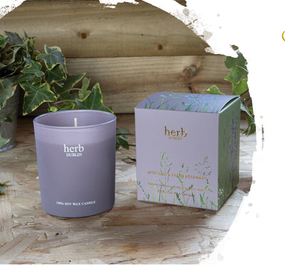 Herb Dublin Lavender Boxed Candle mulveys.ie nationwide delivery