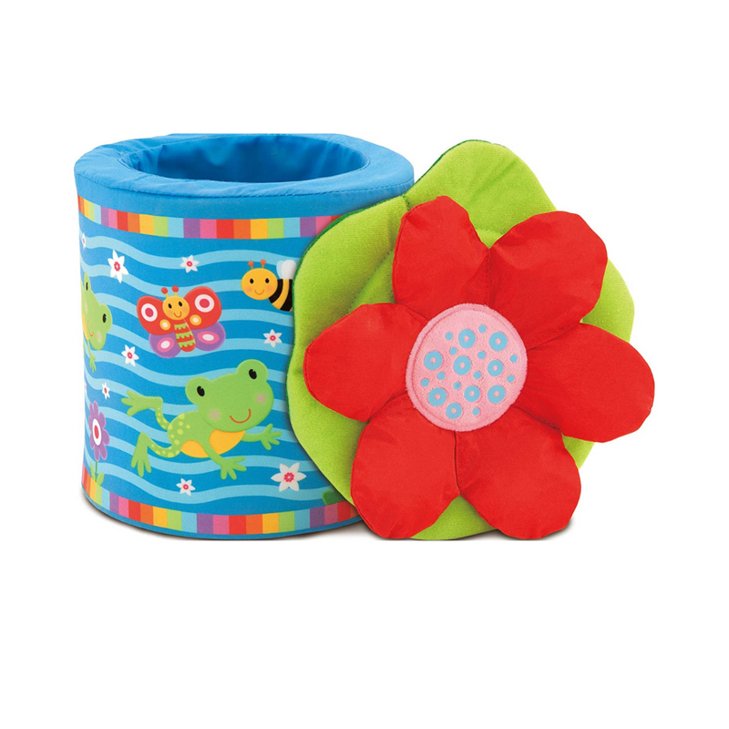 Galt Toys, Frog in a Box, Jack In The Box Toy