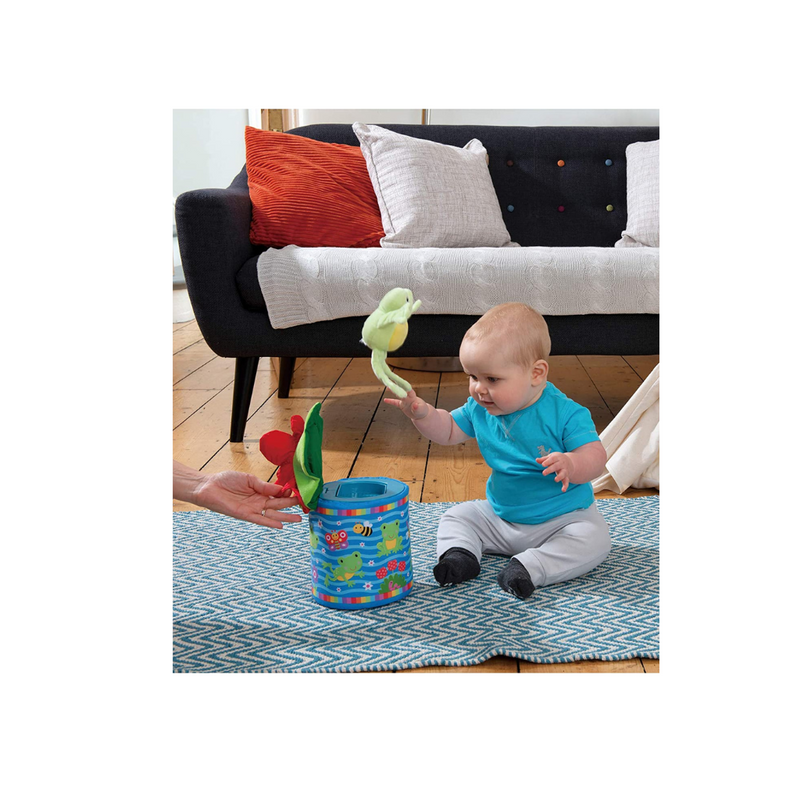 Galt Toys, Frog in a Box, Jack In The Box Toy